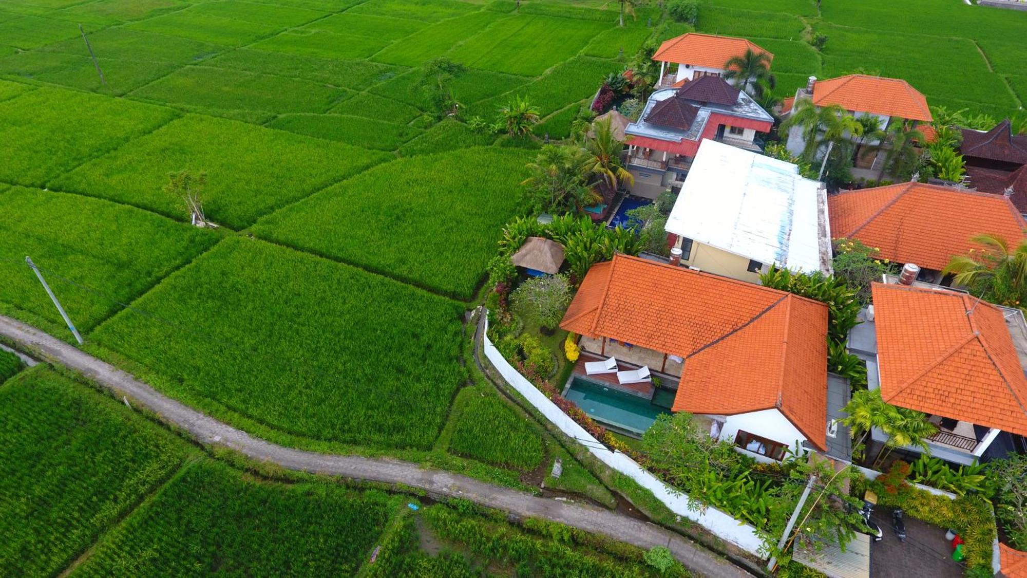 Villa Maya Ubud, Peaceful Rice Field View Exterior foto